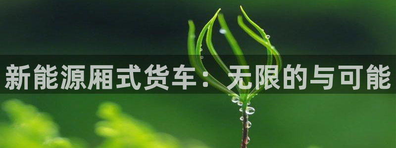 新宝gg软件下载:新能源厢式货车:无限的与可能