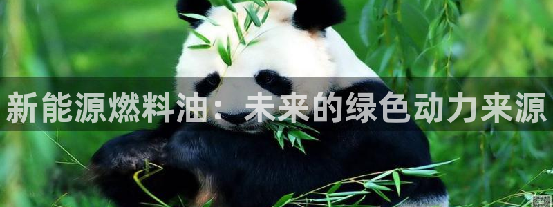 新宝gg平台下载安装