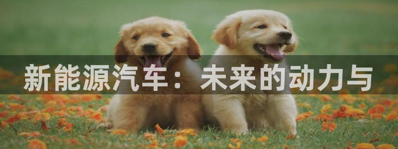 菲律宾新宝gg娱乐