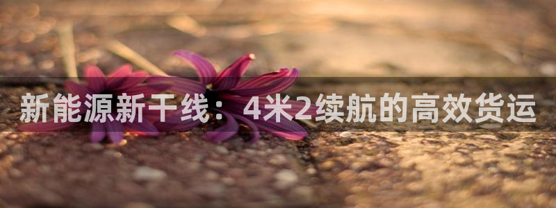 新宝gg挂机软件下载:新能源新干线:4米2续航的高效货运