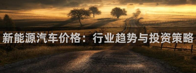 新宝gg如何赚钱:新能源汽车价格:行业趋势与投资策略