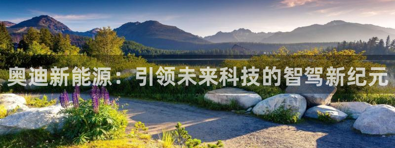 新宝gg类似:奥迪新能源:引领未来科技的智驾新纪元