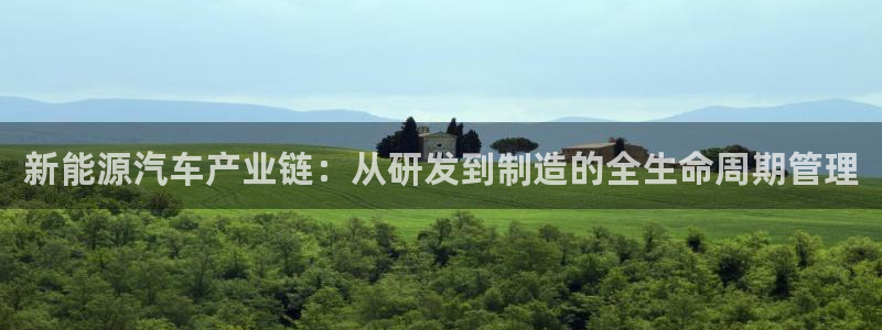 网站新宝GG:新能源汽车产业链:从研发到制造的全生命周期管理