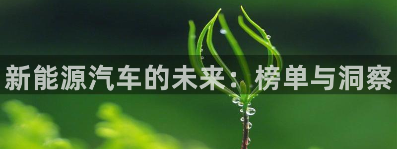 登录新宝gg游戏：新能源汽车的未来：榜单