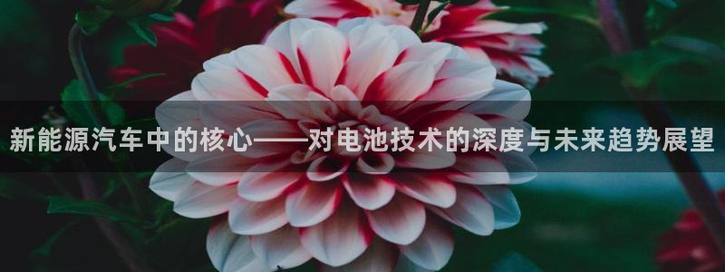 新宝gg2创造奇迹登录:新能源汽车中的核心——对电池技术的深