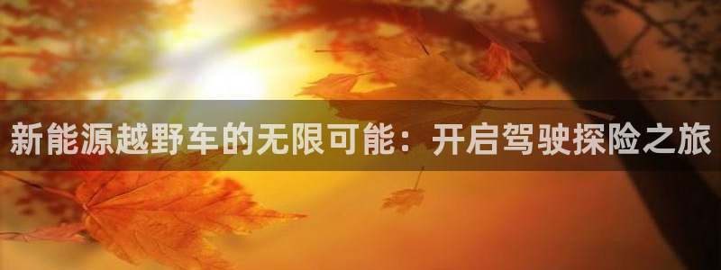 下载新宝gg怎么下载:新能源越野车的无限可能:开启驾驶探险之