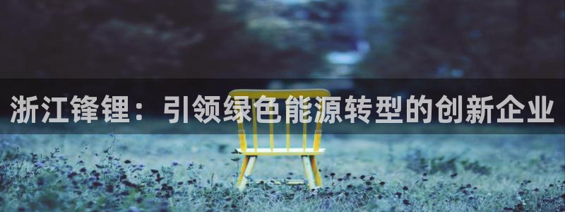 新宝gg主管48527:浙江锋锂:引领绿色能源转型的创新企业