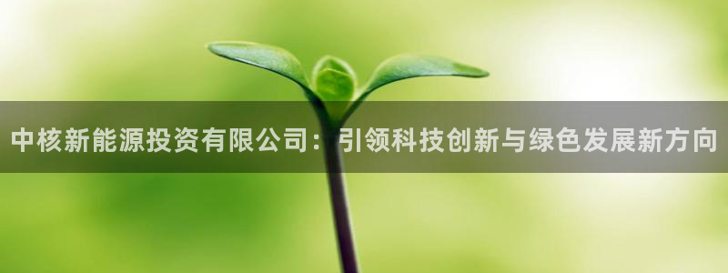 新宝gg招商89188：中核新能源投资有